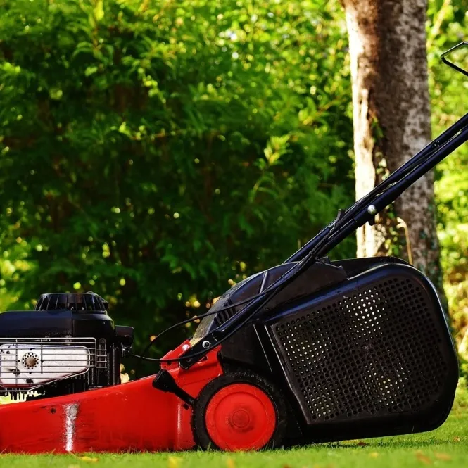 Bosch Elektrikli Çim Biçme Makinesi